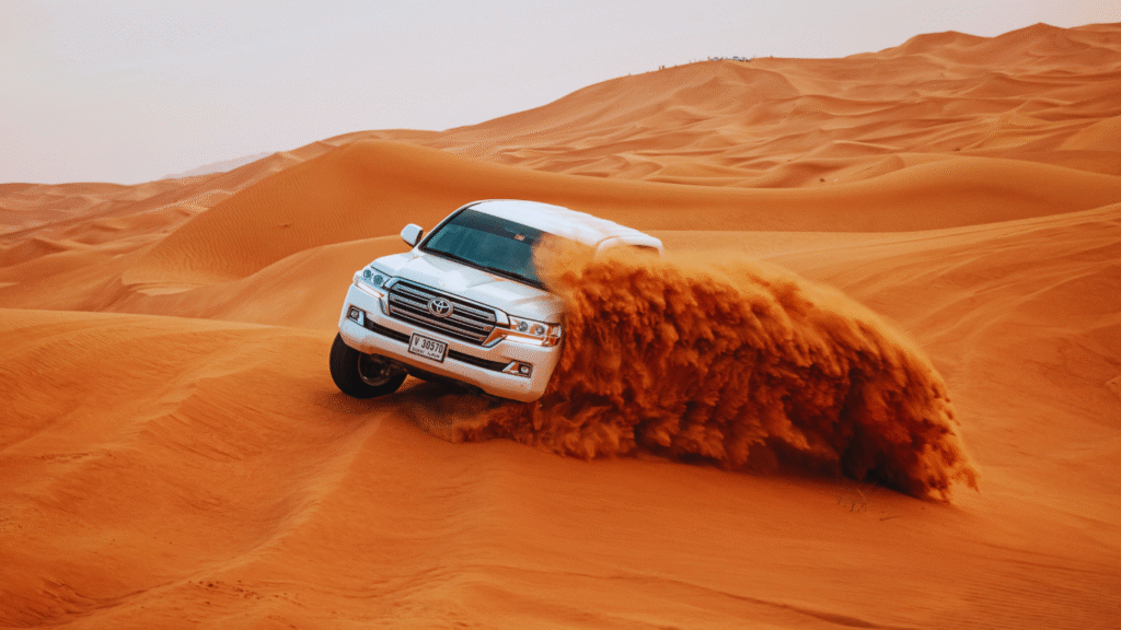 morning desert safari in abu dhabi